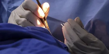 SUS terá 899 novas unidades e reforço de 322 médicos especialistas SUS terá 899 novas unidades e reforço de 322 médicos especialistas