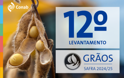 Safra 2024/25 atinge recorde histórico de 350,2 milhões de toneladas de grãos Safra 2024/25 atinge recorde histórico de 350,2 milhões de toneladas de grãos