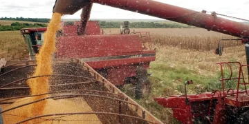 Valor Bruto da Produção do Agro atinge R,4 trilhão em agosto Valor Bruto da Produção do Agro atinge R,4 trilhão em agosto