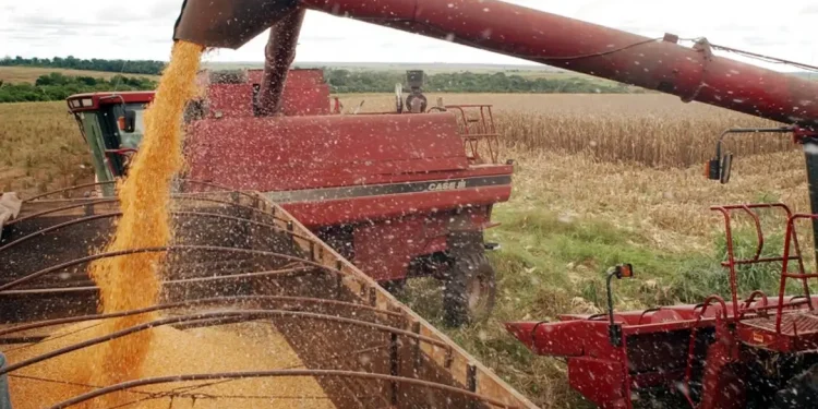 Valor Bruto da Produção do Agro atinge R,4 trilhão em agosto Valor Bruto da Produção do Agro atinge R,4 trilhão em agosto