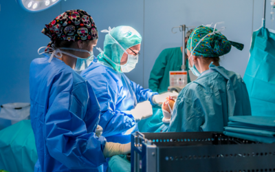 Brasil alcança marca histórica com mais de 30 mil transplantes no SUS em 2024 Brasil alcança marca histórica com mais de 30 mil transplantes no SUS em 2024