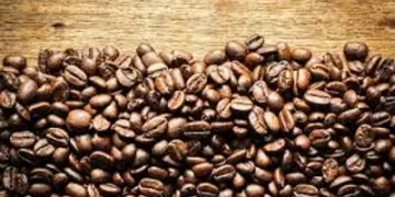 Café hoje: confira as cotações para esta segunda-feira (20) Café hoje: confira as cotações para esta segunda-feira (20)