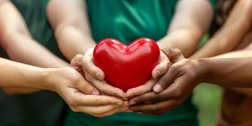 Como ser um doador de órgãos no Brasil: entenda os passos e a importância da autorização familiar Como ser um doador de órgãos no Brasil: entenda os passos e a importância da autorização familiar