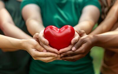 Como ser um doador de órgãos no Brasil: entenda os passos e a importância da autorização familiar Como ser um doador de órgãos no Brasil: entenda os passos e a importância da autorização familiar