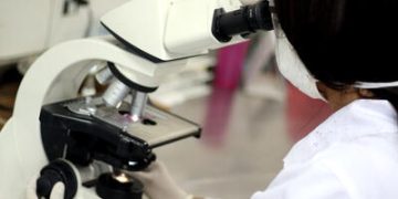 Doação de Órgãos: Prova Cruzada Virtual agiliza transplantes e reduz risco de rejeição Doação de Órgãos: Prova Cruzada Virtual agiliza transplantes e reduz risco de rejeição