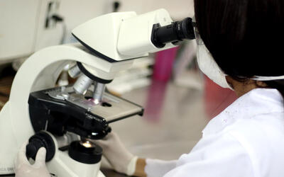 Doação de Órgãos: Prova Cruzada Virtual agiliza transplantes e reduz risco de rejeição Doação de Órgãos: Prova Cruzada Virtual agiliza transplantes e reduz risco de rejeição