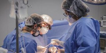 Doação de órgãos: transplantes de intestino delgado e multivisceral entram no SUS Doação de órgãos: transplantes de intestino delgado e multivisceral entram no SUS