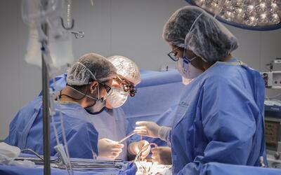 Doação de órgãos: transplantes de intestino delgado e multivisceral entram no SUS Doação de órgãos: transplantes de intestino delgado e multivisceral entram no SUS