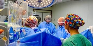 Macrorregionalização: Ministério da Saúde redefine distribuição de órgãos para transplantes Macrorregionalização: Ministério da Saúde redefine distribuição de órgãos para transplantes