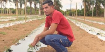 Microcrédito produtivo impulsiona jovens empreendedores rurais Microcrédito produtivo impulsiona jovens empreendedores rurais