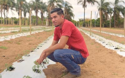 Microcrédito produtivo impulsiona jovens empreendedores rurais Microcrédito produtivo impulsiona jovens empreendedores rurais