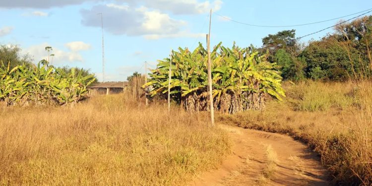 Prorrogado prazo para georreferenciamento de imóveis rurais