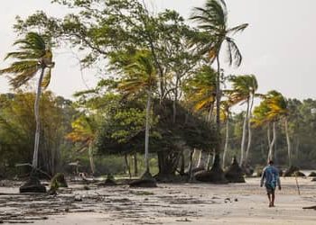 100% das iniciativas do MIDR estão alinhadas aos Objetivos de Desenvolvimento Sustentável