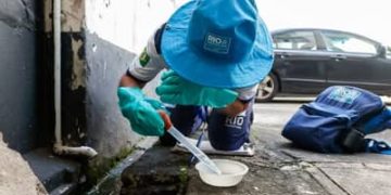 Dia D contra o Aedes aegypti mobiliza país neste sábado (8) Dia D contra o Aedes aegypti mobiliza país neste sábado (8)