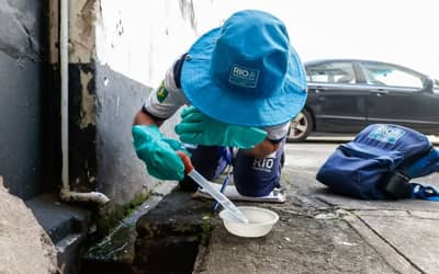 Dia D contra o Aedes aegypti mobiliza país neste sábado (8) Dia D contra o Aedes aegypti mobiliza país neste sábado (8)