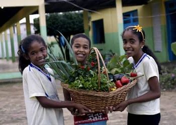 Novo Pronacampo: prazo para adesão é prorrogado até 30/11 Novo Pronacampo: prazo para adesão é prorrogado até 30/11