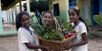 Novo Pronacampo: prazo para adesão é prorrogado até 30/11