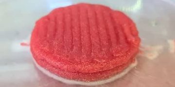 Carne feita em impressora 3D: projeto cria proteína sem abate animal