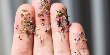 Microplásticos no corpo humano: evidências científicas reforçam necessidade de restrições ao uso de plástico Microplásticos no corpo humano: evidências científicas reforçam necessidade de restrições ao uso de plástico