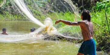 Seguro-defeso: pescadores precisam enviar REAP pelo PesqBrasil até esta quarta-feira (31)
Seguro-defeso: pescadores precisam enviar REAP pelo PesqBrasil até esta quarta-feira (31)