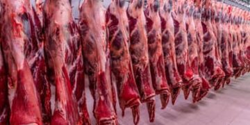 Brasil amplia exportação de carne bovina ao Vietnã Brasil amplia exportação de carne bovina ao Vietnã