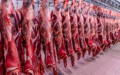 Brasil amplia exportação de carne bovina ao Vietnã Brasil amplia exportação de carne bovina ao Vietnã