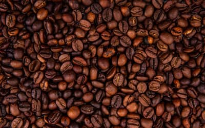 Café hoje: confira as cotações para terça-feira (6) Café hoje: confira as cotações para terça-feira (6)