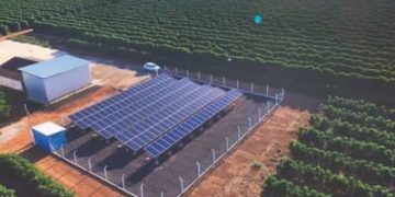 Mercado de energia limpa avança no campo e ajuda produtores a economizar Mercado de energia limpa avança no campo e ajuda produtores a economizar