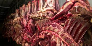 Restrição da China à carne bovina pode causar impacto de US$ 3 bilhões ao Brasil Restrição da China à carne bovina pode causar impacto de US$ 3 bilhões ao Brasil