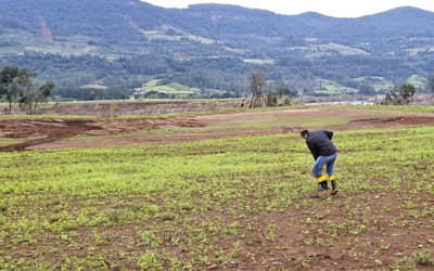 Seguro Rural fecha 2025 com 3,2 milhões de hectares segurados, pior desempenho em 10 anos Seguro Rural fecha 2025 com 3,2 milhões de hectares segurados, pior desempenho em 10 anos