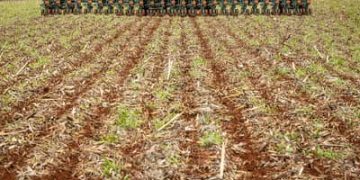 TCU deve investigar venda casada em financiamentos a produtores rurais TCU deve investigar venda casada em financiamentos a produtores rurais