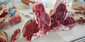 Governo quer regular venda de carne para China com cotas para exportadores Governo quer regular venda de carne para China com cotas para exportadores