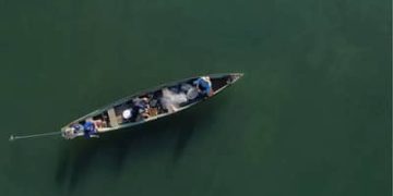 Mais de 76 mil pescadores tiveram licenças canceladas após decisão do MPA