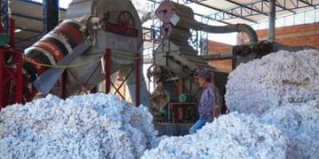 Transnordestina reduzirá custos e abrirá novos mercados para produtores do Cariri Transnordestina reduzirá custos e abrirá novos mercados para produtores do Cariri