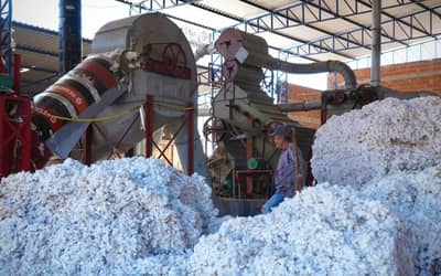Transnordestina reduzirá custos e abrirá novos mercados para produtores do Cariri Transnordestina reduzirá custos e abrirá novos mercados para produtores do Cariri