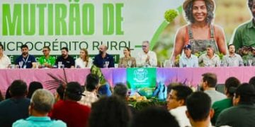 Agricultores de Altamira (PA) fortalecem produção com acesso facilitado ao crédito Agricultores de Altamira (PA) fortalecem produção com acesso facilitado ao crédito