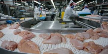 Conflito no Oriente Médio deve encarecer carnes de frango, suína e ovos Conflito no Oriente Médio deve encarecer carnes de frango, suína e ovos