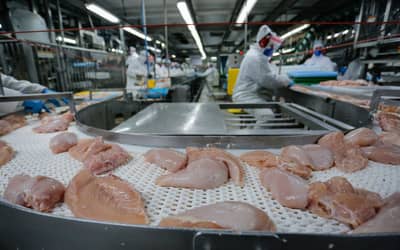Conflito no Oriente Médio deve encarecer carnes de frango, suína e ovos Conflito no Oriente Médio deve encarecer carnes de frango, suína e ovos