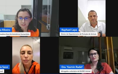 Defesa Civil Nacional aponta caminhos para fortalecer atendimento a animais em emergências Defesa Civil Nacional aponta caminhos para fortalecer atendimento a animais em emergências