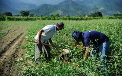 Mercado rural é responsável por três a cada dez vagas formais no país em janeiro, segundo CNM Mercado rural é responsável por três a cada dez vagas formais no país em janeiro, segundo CNM