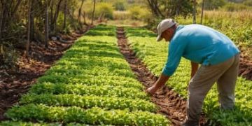 Vilas Produtivas Rurais transformam histórias de vida no Ceará Vilas Produtivas Rurais transformam histórias de vida no Ceará