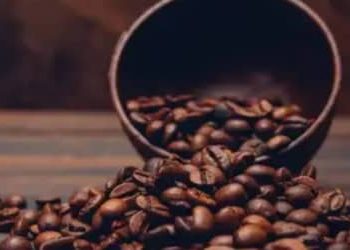 Café hoje: confira as cotações para esta terça-feira (28)