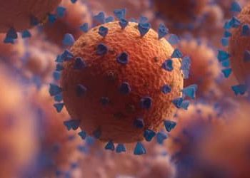 Covid-19: nova variante detectada em 23 países possui maior escape imunológico