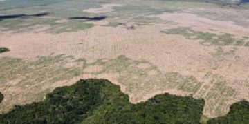 FPA pede adiamento das novas regras ambientais de financiamento no campo