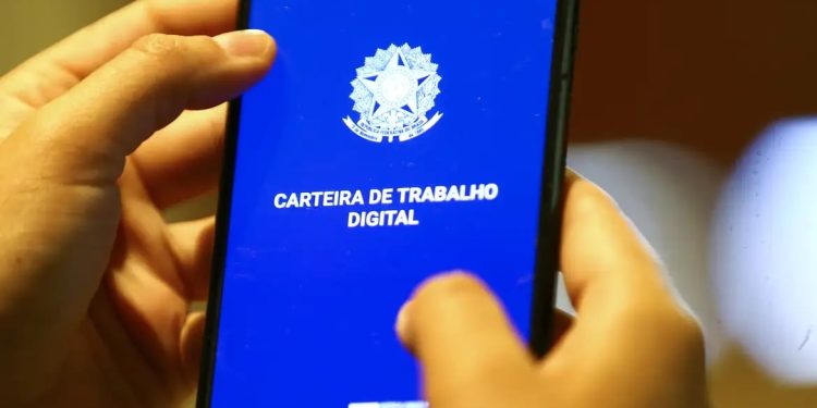 MPEs respondem por quase 80% do saldo de empregos no Brasil desde 2023