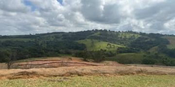 Recuperação de nascentes avança em Minas Gerais com apoio do MIDR Recuperação de nascentes avança em Minas Gerais com apoio do MIDR