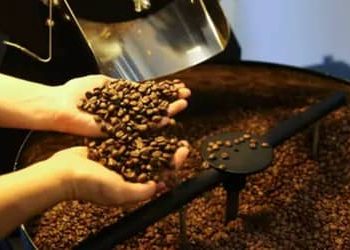 Café hoje: confira cotações para esta segunda-feira (18) Café hoje: confira cotações para esta segunda-feira (18)