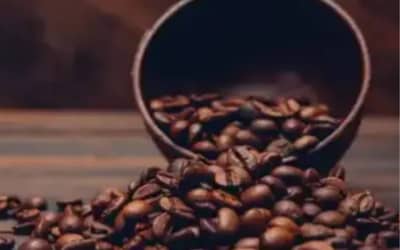Café hoje: confira cotações para esta terça-feira (5) Café hoje: confira cotações para esta terça-feira (5)