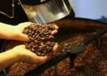 Título: Café hoje: confira cotações para esta sexta-feira (15)