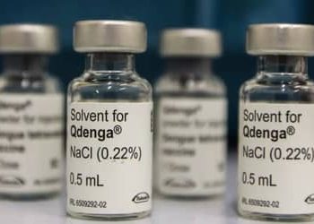 Após suspensão da Butantan-DV, outras vacinas contra a dengue seguem disponíveis Após suspensão da Butantan-DV, outras vacinas contra a dengue seguem disponíveis